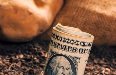 U.S.: Potato Retail Sales See Positive Volume and Dollar Terms Between July 2023-June 2024