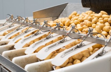 IFA: The Processed Potato Products Market ‘Looks Very Positive’