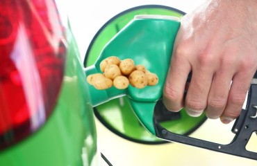 Steps Ahead for the Indian Bioethanol Industry Thanks to Potato Waste Conversion