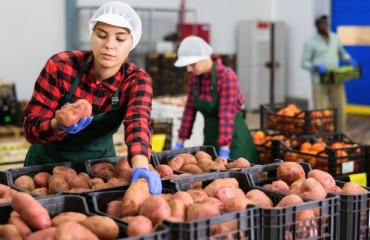 Addressing Inefficiencies in Handling and Packaging Across All Operational Sectors