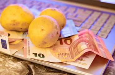 Belgium: 2024 Potato Growers' Solidarity Fund Payment Announcement