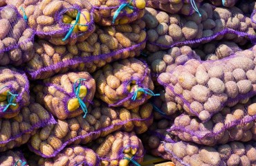2023: Idaho, Oregon, and Washington Sold USD2.63bn Worth of Potatoes