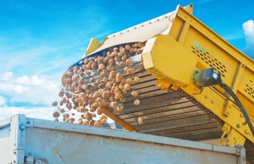 2024 NEPG Potato Production Has a Good Overall Quality