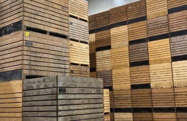 Designing and Constructing Potato Storage Buildings for the Potato Processing Industry