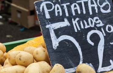 The Expana Benchmark Prices (EBP) for Dutch and Belgian Processing Potatoes Run Steady