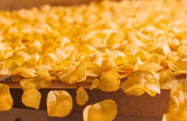 The Salty Snack Industry Under the Looking-glass