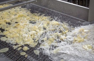 Streamlined Success: Turnkey Solutions for Potato Processing