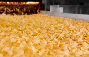 Smooth Moves: Conveyors at the Heart of Processing