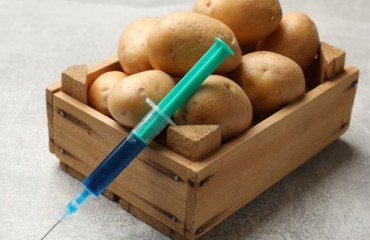 Potato 'Vaccine' Developer 'Ascribe Bioscience' Receives Strategic Investment