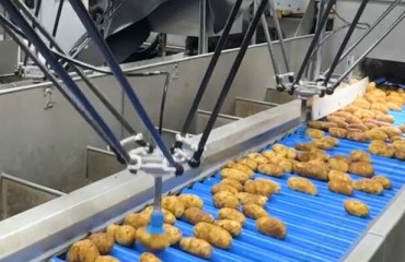 AI-Based Robotic Potato Sorter Improves Product Grading and Slashes Costs