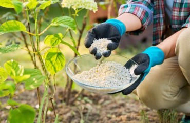 Genesis Fertilizers to Develop a Proposed Low Carbon-intensity Fertilizer Plant