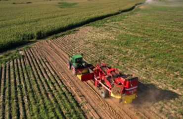 Europe: Potato Export Markets Are “Quieter” Than September 2024