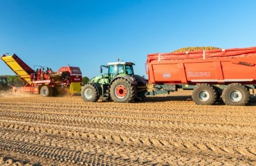 IFA: Across Europe, Potato Lifting is ‘Almost Complete’
