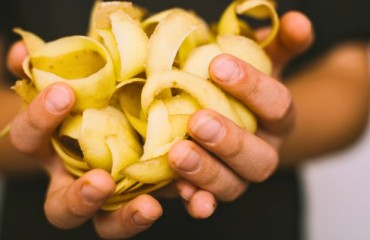 Peel Smart, Process Better: The Latest Tech in Potato Processing