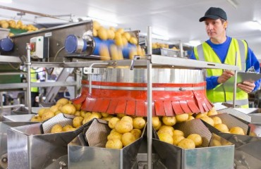 Tech Boosts Potato Processing Capacity