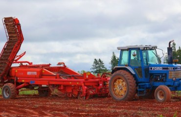 2024 Sees Another Record Harvest in Canadian Potato Production