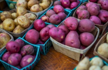 Report: In 2023, the Canadian Growers Produced Approximately 5.8m Metric Tons of Potatoes