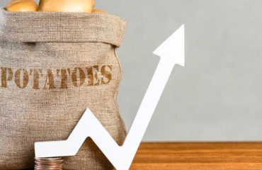 The Expana Benchmark Price (EBP) for Dutch Processing Potatoes Rose