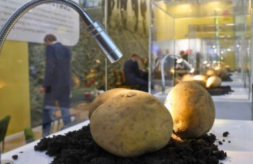 Fruit Logistica Spotlights 2025: Discover Innovations Now