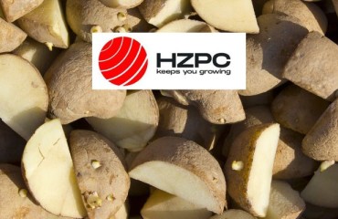 HZPC Americas Corp. Launches New Seed Dealer Network