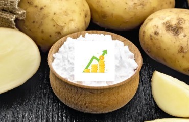 Royal Avebe Achieves Performance Indicator of EUR118.62 per Tonne of Starch Potatoes