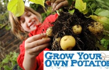 GB Potatoes Proud to Support Grow Your Own Potatoes in 2025