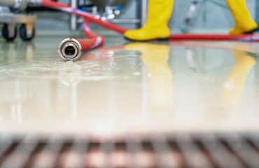 Manufacturing Sustainable Chemistries to Prevent and Control Potato Storage Pathogens