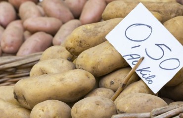 European Processing Potatoes Prices Remain Firm Throughout Europe