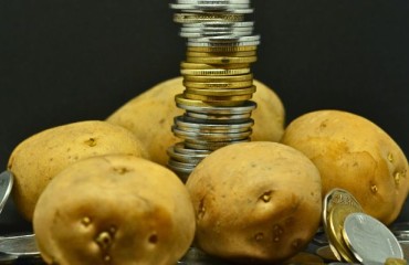 New Potato Platform and Three Exclusive Frozen Fries Indices From DCA Market Intelligence