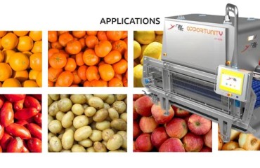 Raytec Vision’s Opportunity: The Future of Optical Sorting Expands to Potatoes
