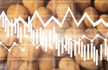 Europe: The Physical Potato Prices in the Processing Industry Have Leveled Down