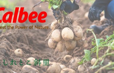 Calbee and Shiretoko Shari Cooperative Collaborate to Develop a Stable Supply of Processing Potatoes