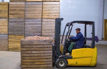 Combined U.S. and Canadian Potato Production Down 4% From 2023
