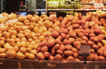 European Potato Prices Reach Plateau