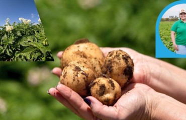 PepsiCo Supports Seed Potato Production in Brazil