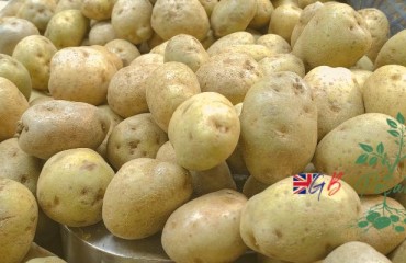 FPSA Transitions Into GB Potatoes Fresh Sector Consultation Group (FSCG)