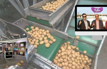 HarvestEye and HyFun Foods Partner to Modernize Potato Industry
