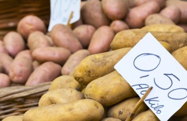 EBP Week-on-week Prices for Belgian and Dutch Processing Potatoes Fell