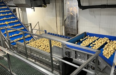 Burgess Farms Boosts Efficiency and Quality with New Haith Wash Line