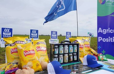 PepsiCo Launches Regenerative Potato Farming Pilot Across Latin America
