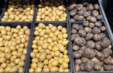 Russia Grapples with Record Potato Prices Amid Supply Shortages