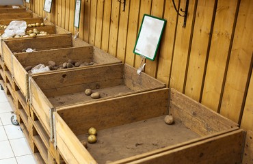 Potato Deficit Pushes Belarus to End Food Import Ban on EU States