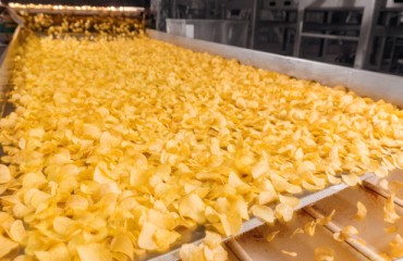 Scaling Smarter: Tech-Driven Upgrades Are Powering the Potato Industry