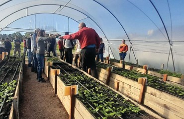 Colnago Leads Potato Seed Innovation to Support Uruguay’s Small Farms