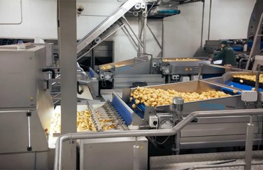Ibérica de Patatas Modernizes Processing Facility with Wyma in Madrid