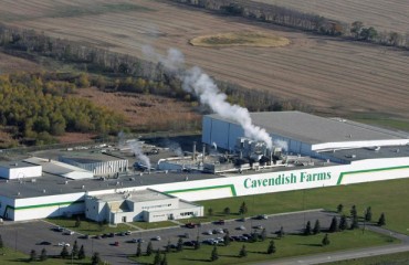 Cavendish Farms Launches Environmental Initiative to Support P.E.I. Growers