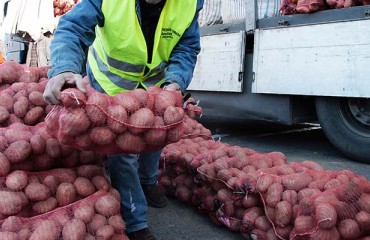 U.S. Potato Exports: Frozen, Fresh, and Seed Categories See Gains