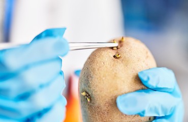 Building a Culture of Vigilance: How Food Processors Stay Ahead of Safety Risks