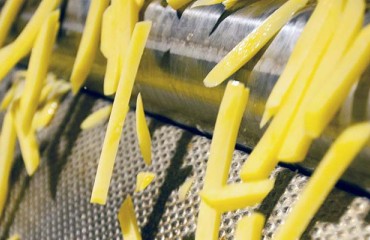 Clarebout to Establish French Fries Factory in Beijing