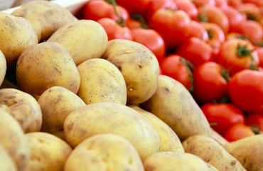 Genomic Study Reveals Tomato Lineage in Potato Origins